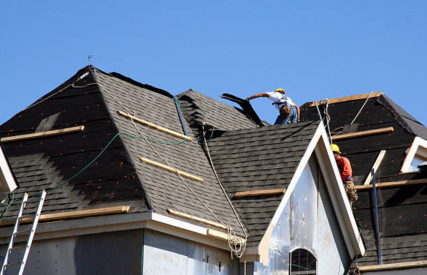 Best Gutter Installation and Roofing  in Geneva, AL