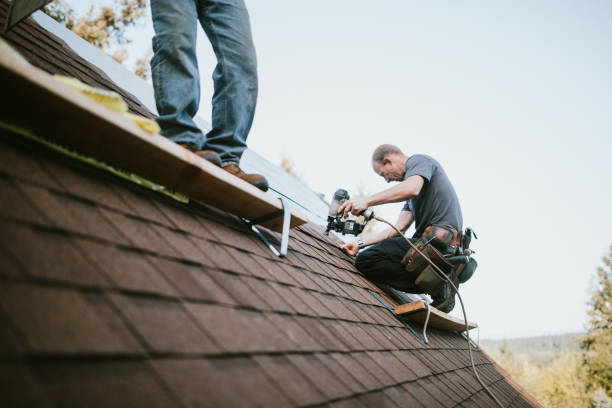 Best Storm Damage Roof Repair  in Geneva, AL